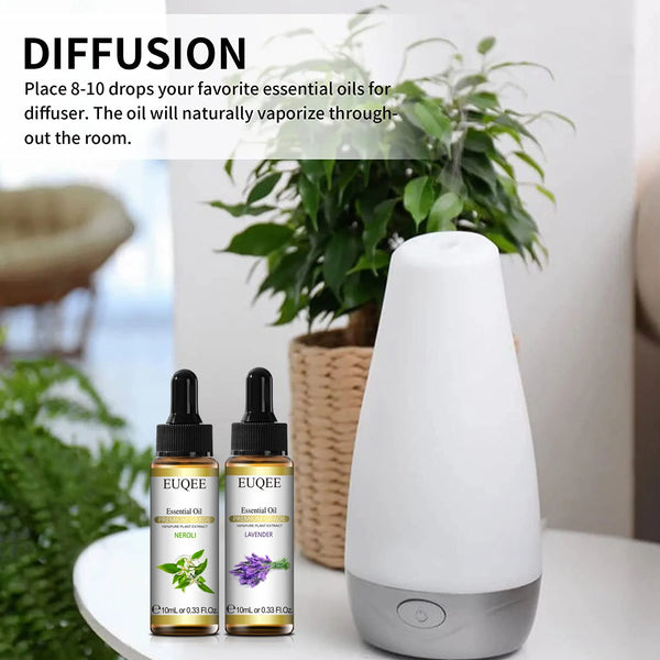 best essential oil sets